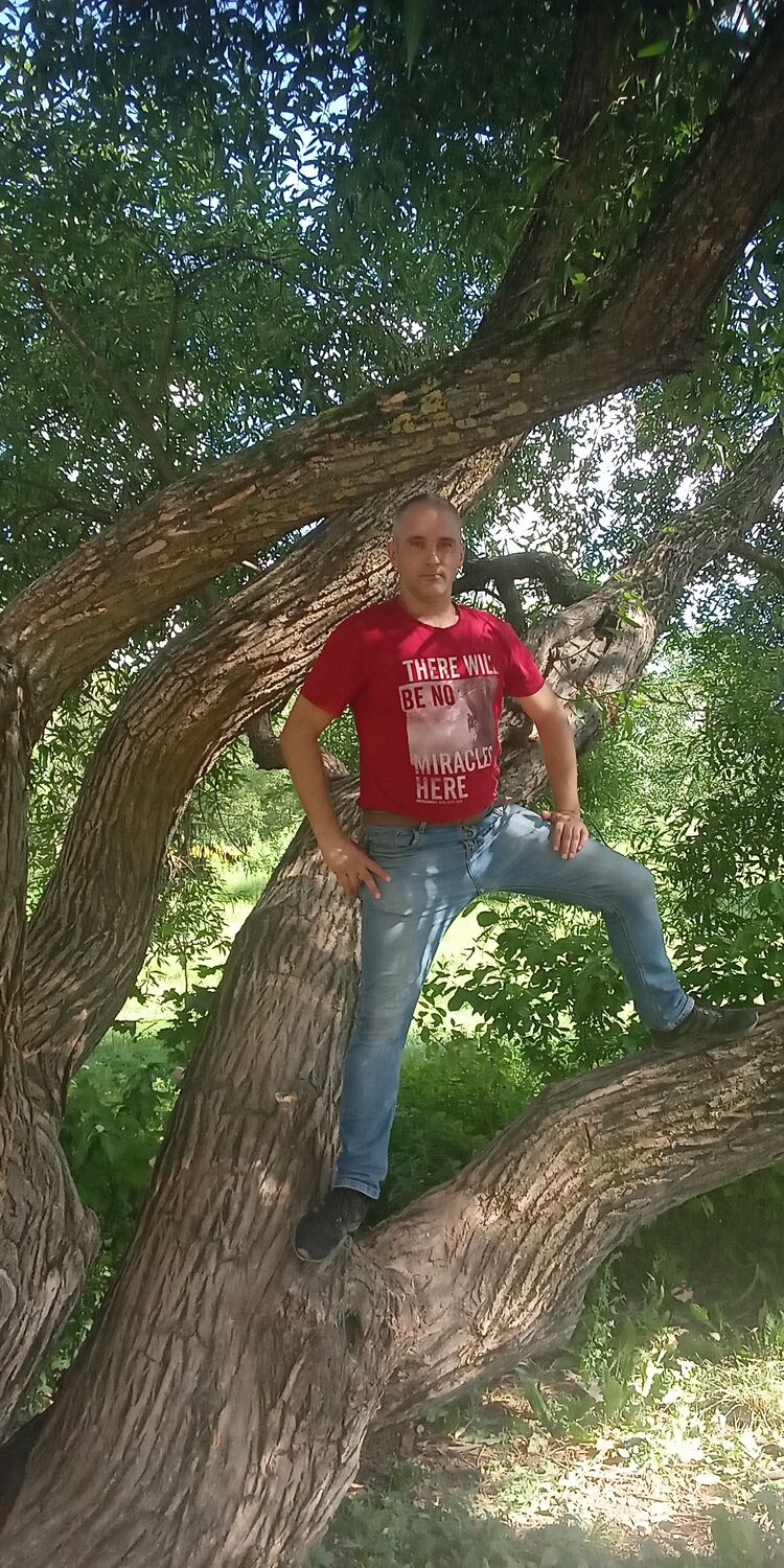 ���� 28326400 ������� �������, 45 ���, ���� ���������� � ������