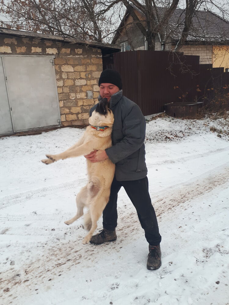 ���� 30872490 ������� Ollllegggg, 27 ���, ���� ���������� � �������������