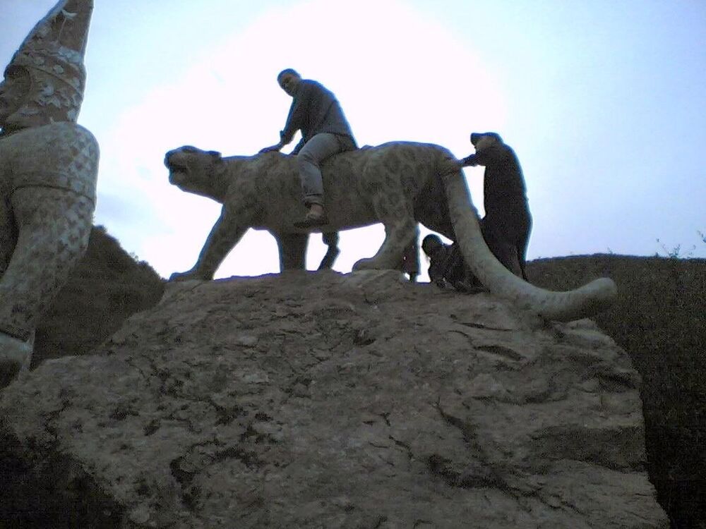 ���������� ������, ���� ������� Mulaz, 46 ���, ������������ ��� ������, ����� � ���������, c�������� ���������, ���������