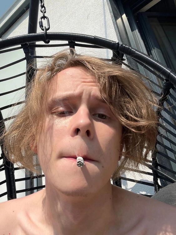  45217750  , 23 ,    -