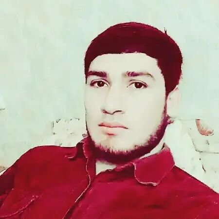  33206500  , 30 ,    