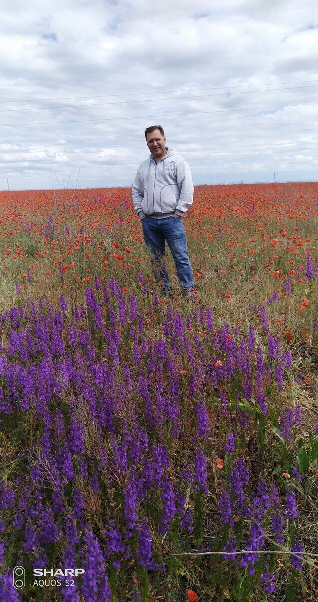 ���� 20447700 ������� �������, 44 ����, ���� ���������� � �����������