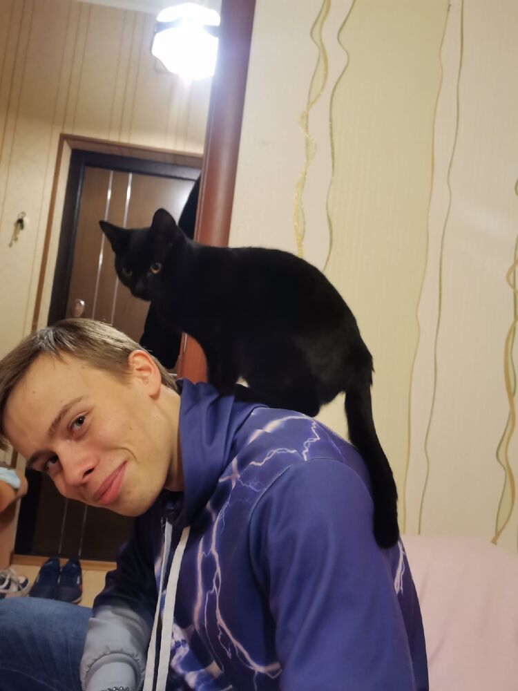 ���������� ������, ���� ����� �������, 24 ����, ������������ ��� ������, ����� � ���������, c�������� ���������