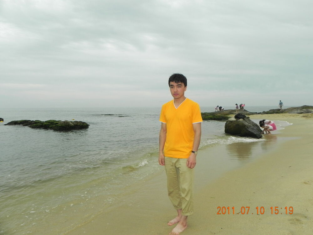  8238360  , 40 ,    -