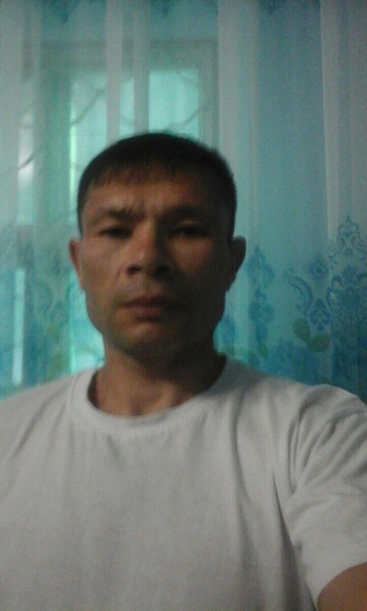  20669840  , 50 ,    
