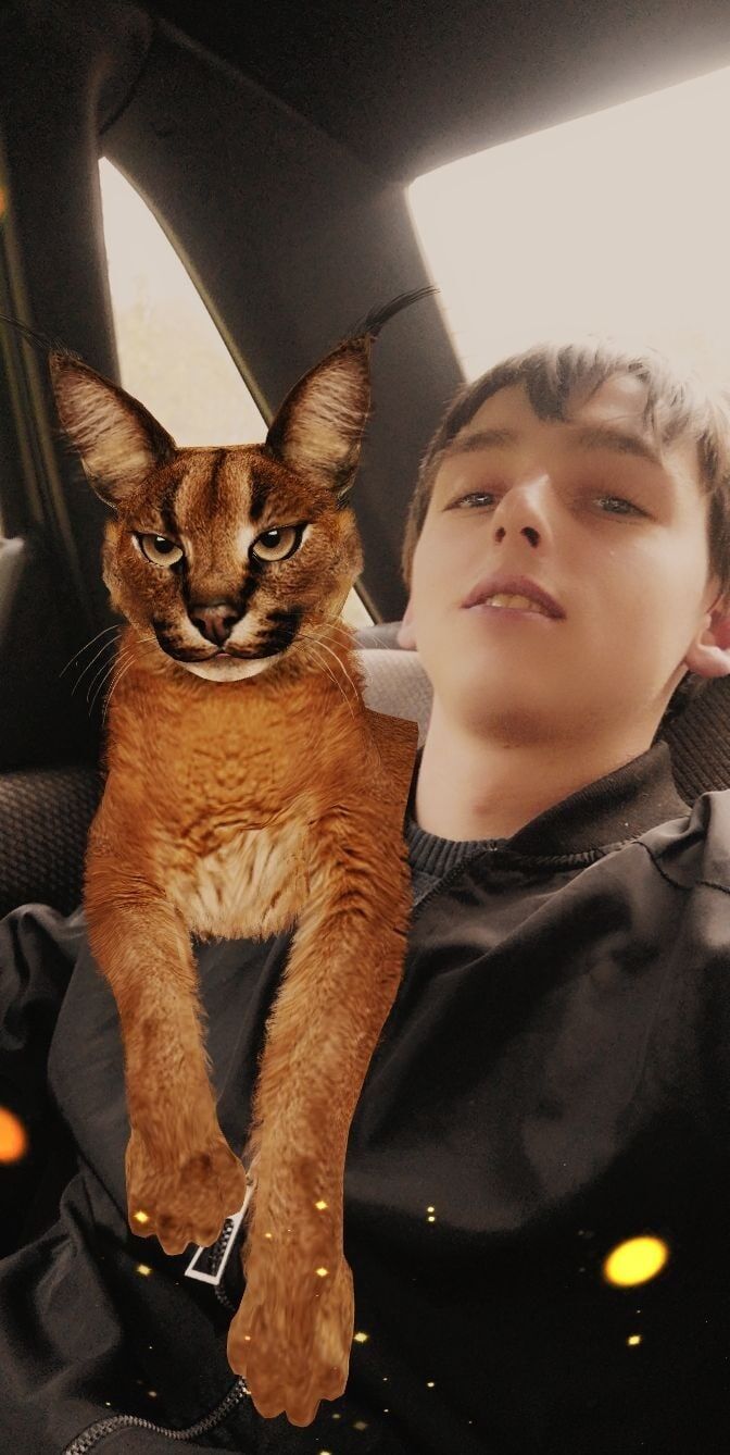 ���� 25670450 ������� Alexander, 27 ���, ���� ���������� � ������