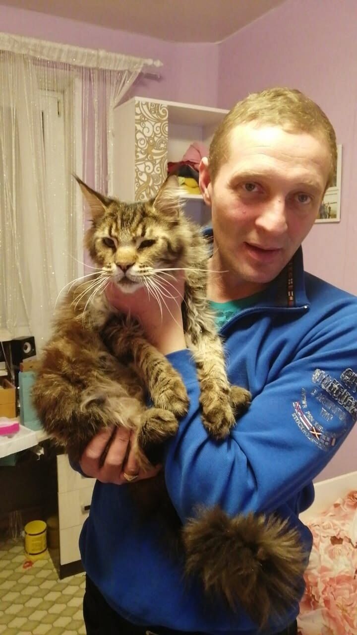 ���� 55022820 ������� ����, 45 ���, ���� ���������� � ������ ������