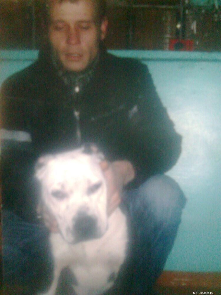 ���� 8404840 ������� ������, 39 ���, ���� ���������� � �������