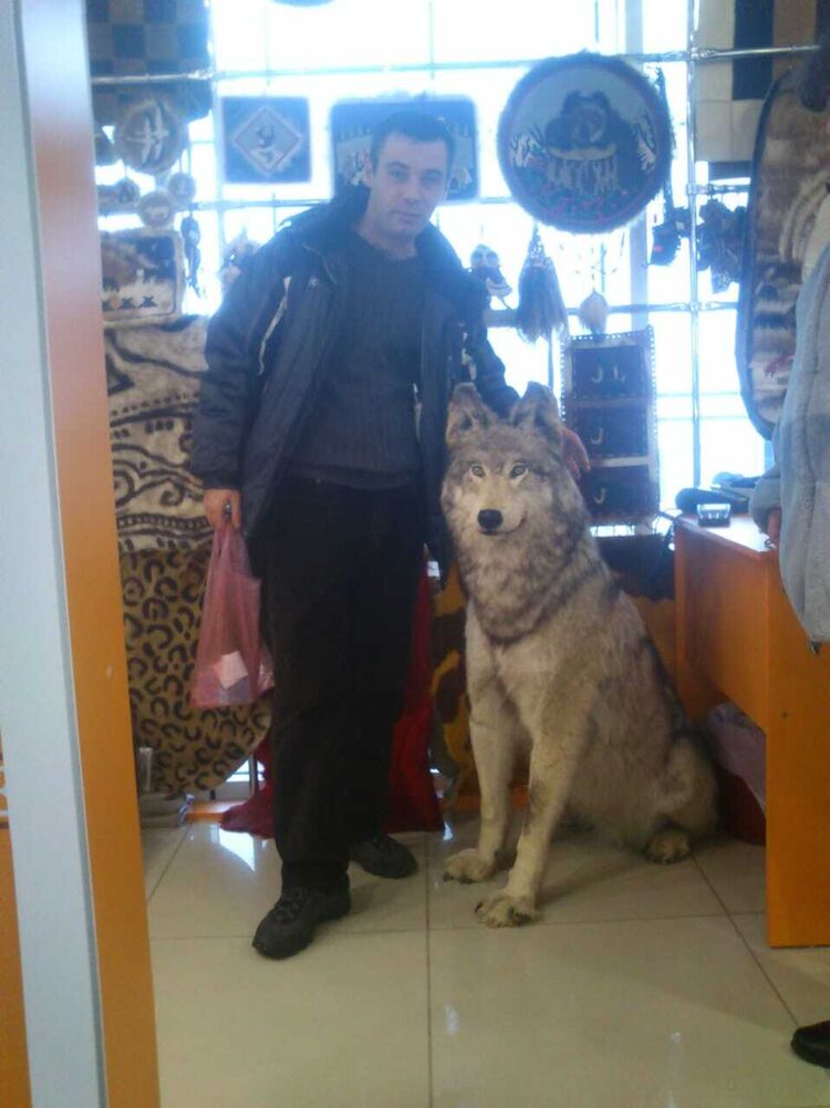 ���� 24692730 ������� �����, 46 ���, ���� ���������� � ����������