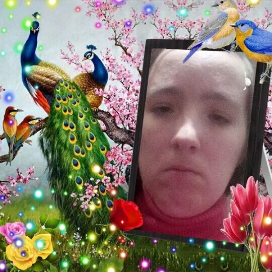 ���� 51039670 ������� ��������, 31 ���, ���� ���������� � �������� ����