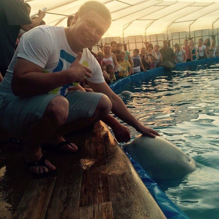 ���� 43077500 ������� Boommms, 30 ���, ���� ���������� � �������