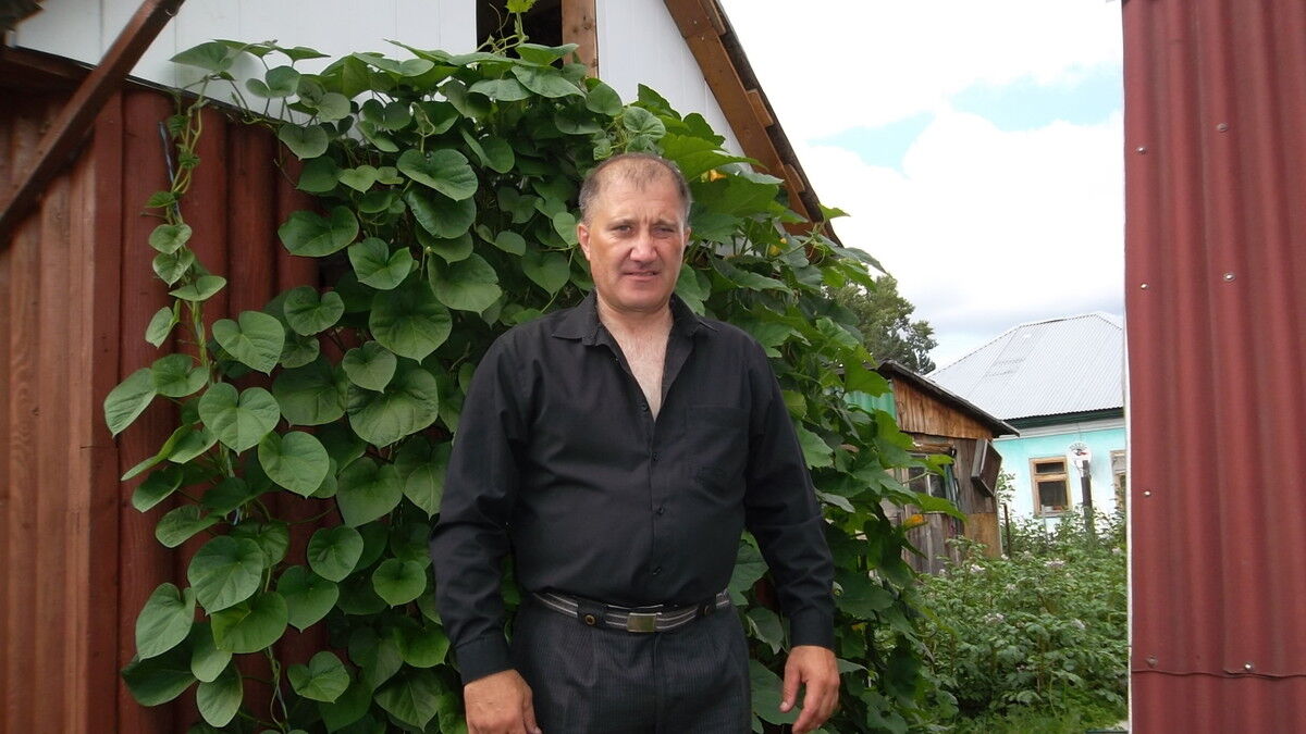  ,   , 58 ,   