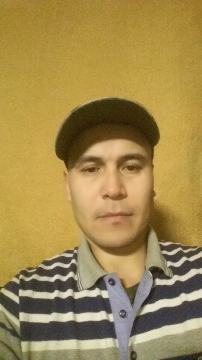 ���� 19184550 ������� GAYRAT, 42 ����, ���� ���������� � �������