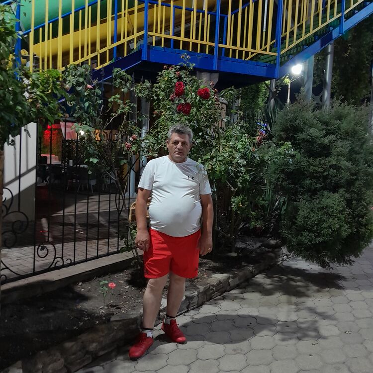  44704370  , 53 ,    