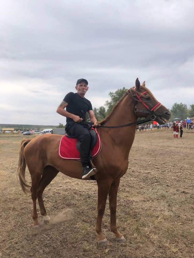 ���� 33548960 ������� ���������, 56 ���, ���� ���������� � �������-��-����