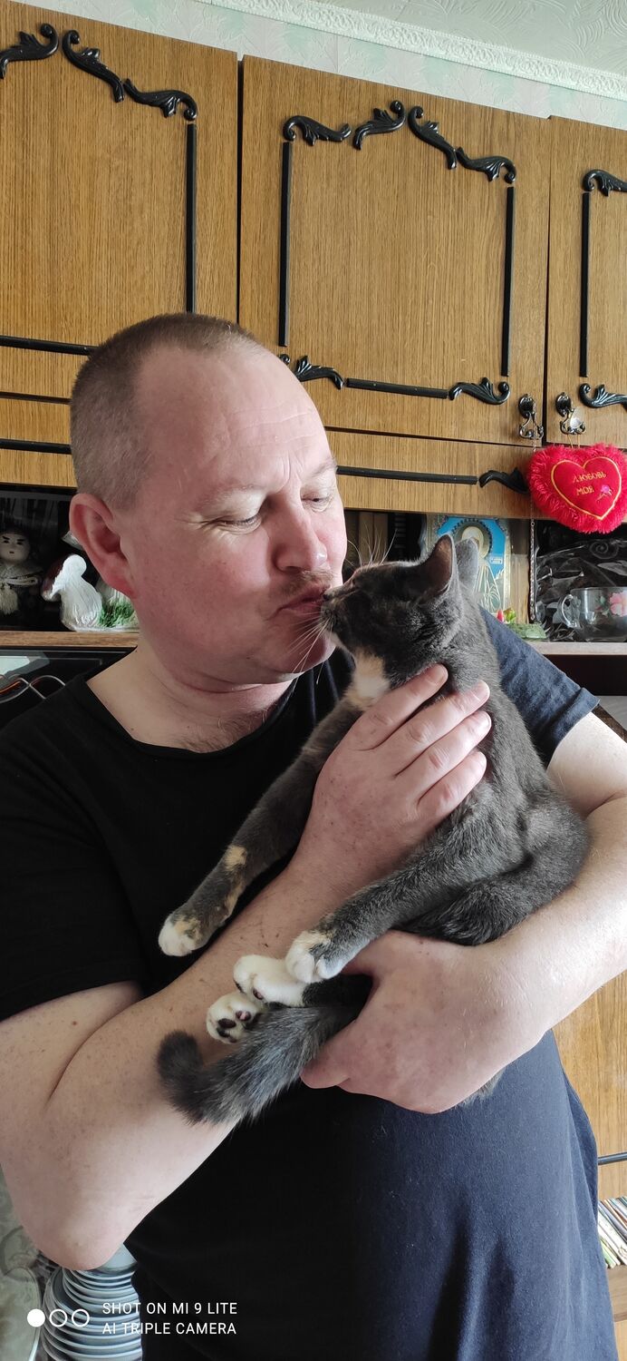 ���������� �����, ���� ������� ������, 48 ���, ������������ ��� c�������� ���������