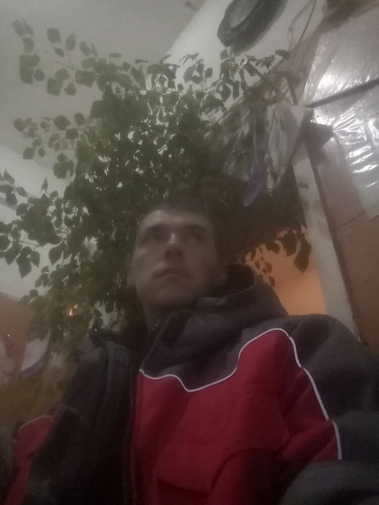  40177770  , 29 ,    