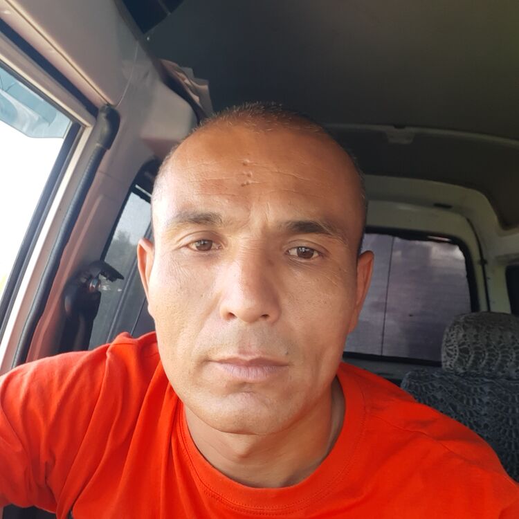  23533200  , 39 ,    