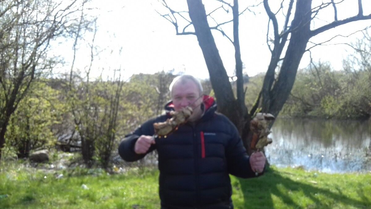  9399340  , 47 ,    -