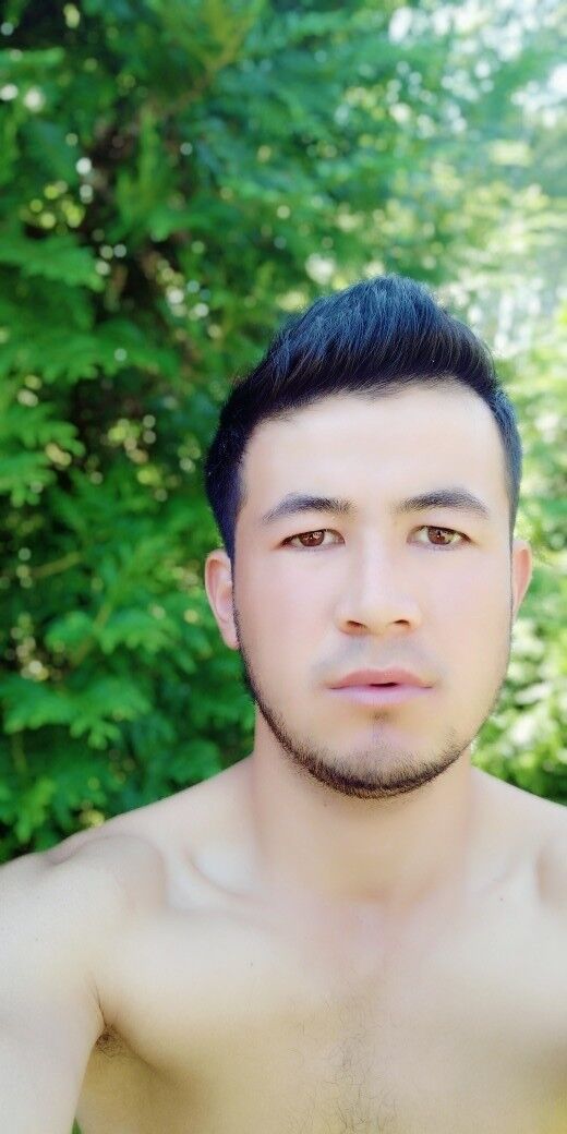 ���� 15462100 ������� ����, 32 ����, ���� ���������� � �����-����������