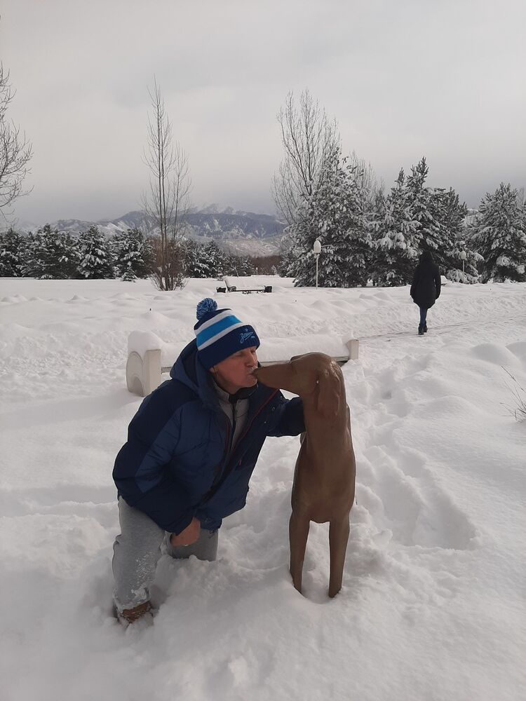  19501080  , 63 ,    