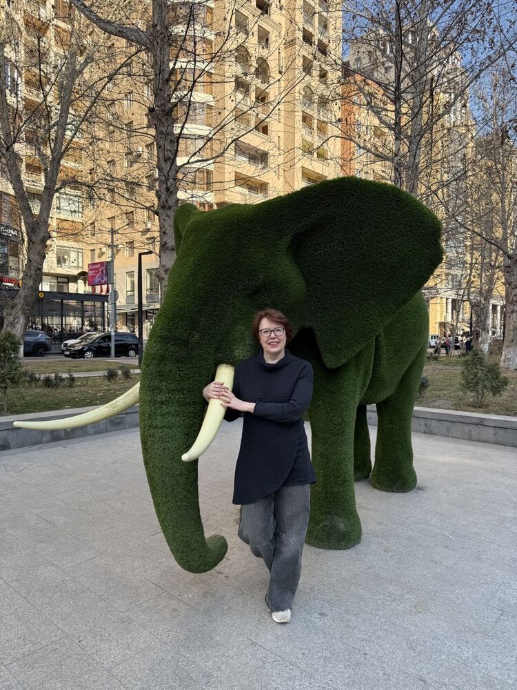  -,   , 48 ,     