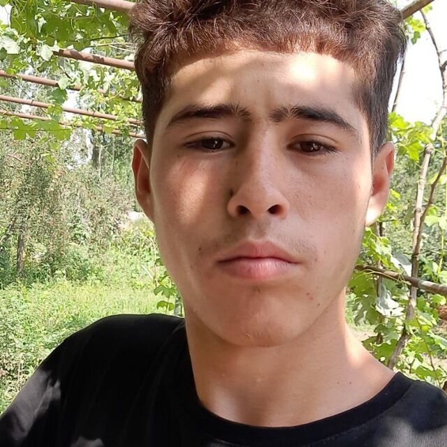  49298330  , 23 ,    