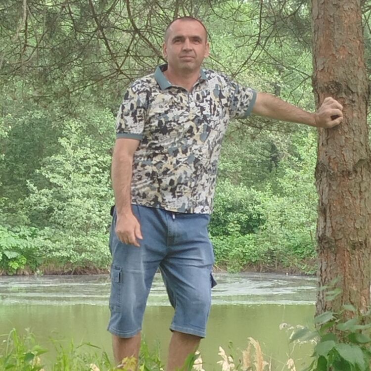  53726740  , 45 ,    