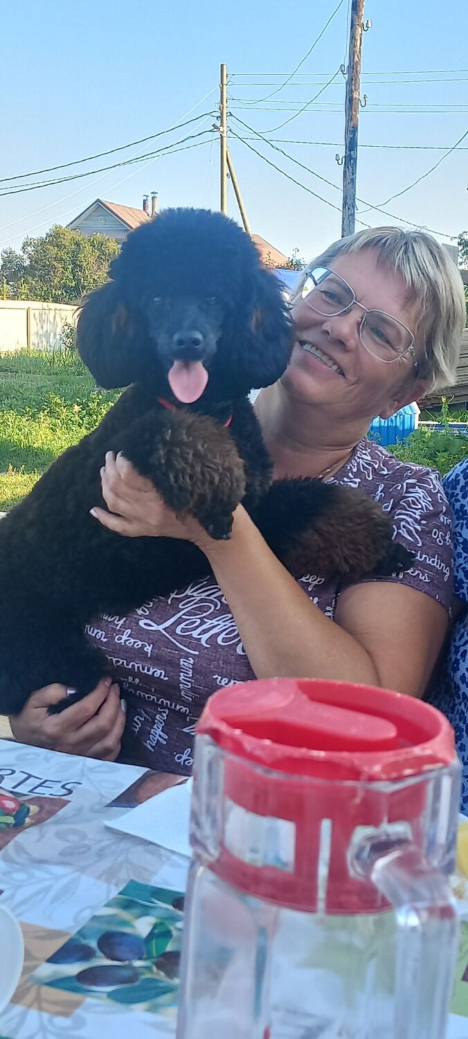 ���������� ���������, ���� ������� ���������, 52 ����, ������������ ��� ����� � ���������, c�������� ���������, ���������