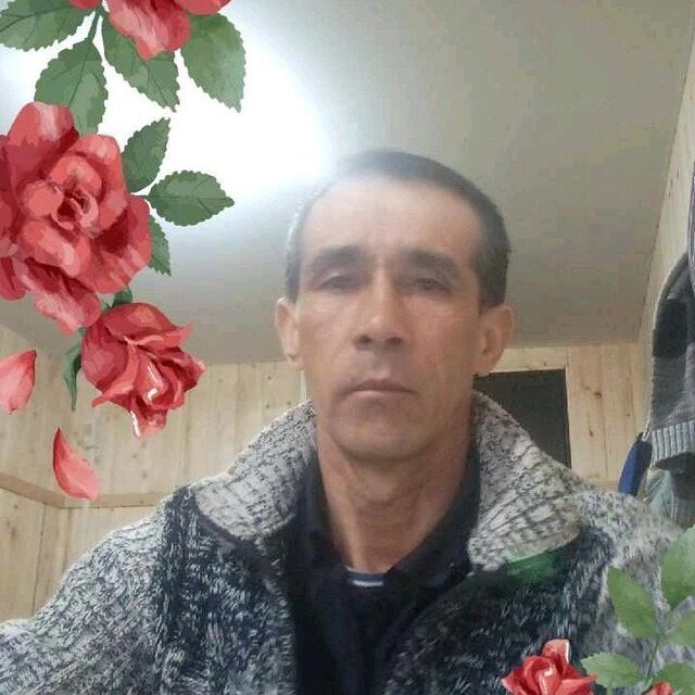  44543740  , 52 ,    