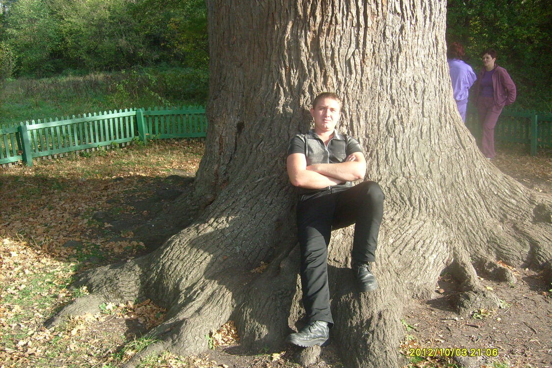 ���������� ���������, ���� ������� �������, 39 ���, ������������ ��� ������, ����� � ���������, c�������� ���������