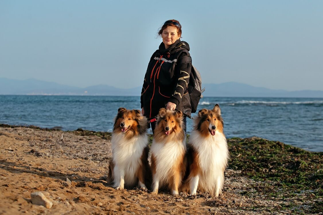 ���� 55152740 ������� ���, 55 ���, ���� ���������� � ������������