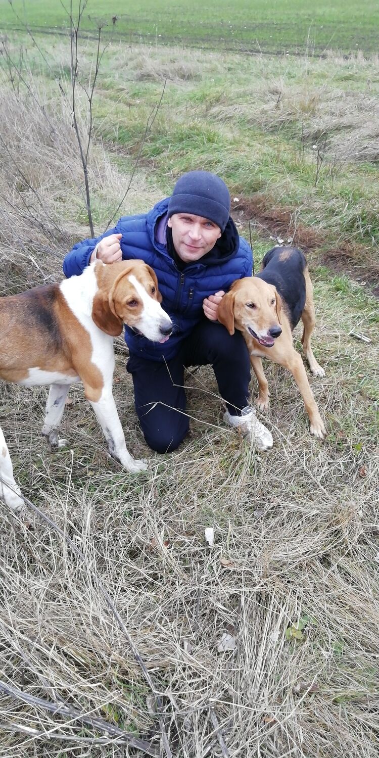 ���������� ������, ���� ������� �������, 44 ����, ������������ ��� ������, ����� � ���������, c�������� ���������, ���������