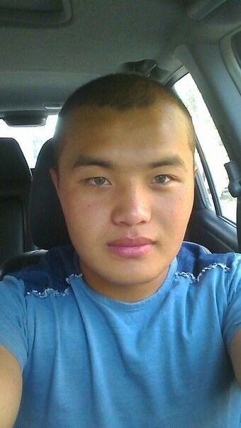 ���� 5085270 ������� Arali, 32 ����, ���� ���������� � �������