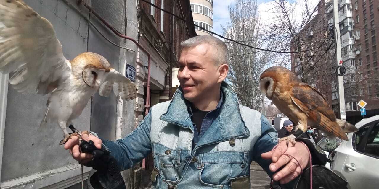  36358580  Born_Wild, 43 ,    --