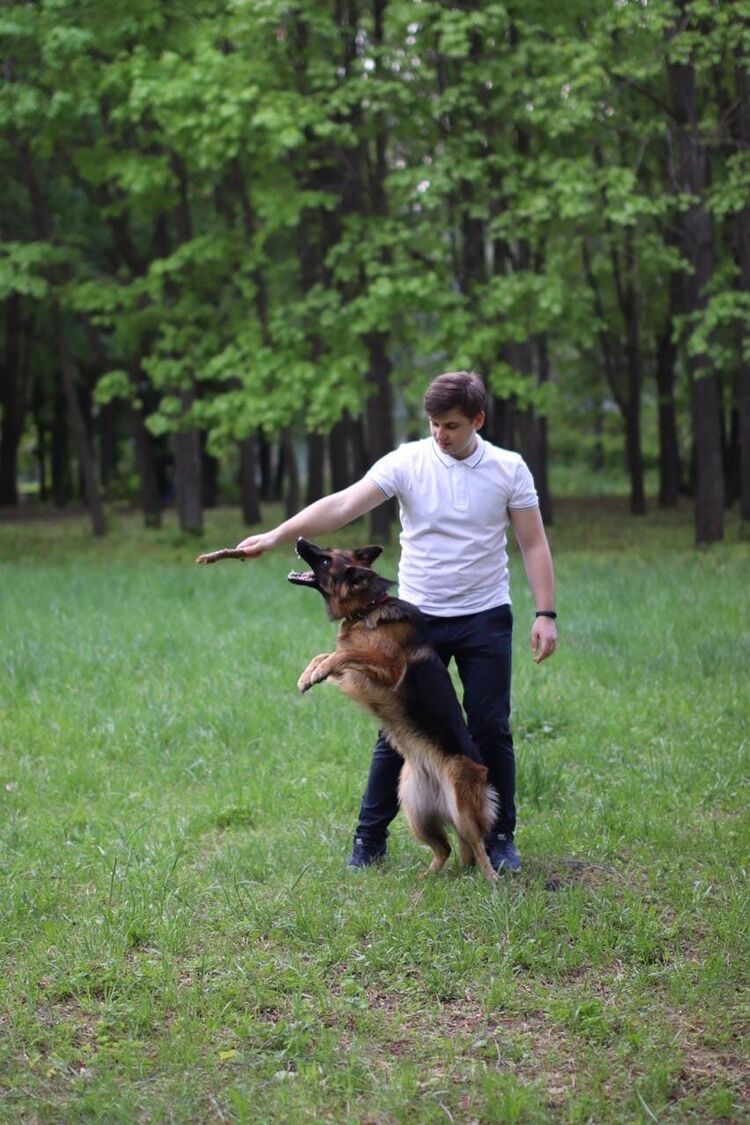 ���� 25321810 ������� ���������, 30 ���, ���� ���������� � ������