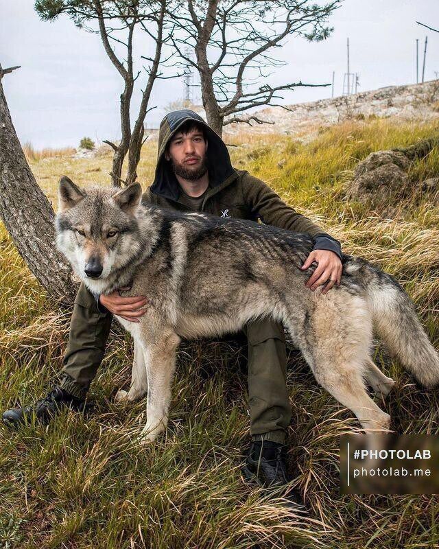  43445150  Axrorbek, 33 ,    