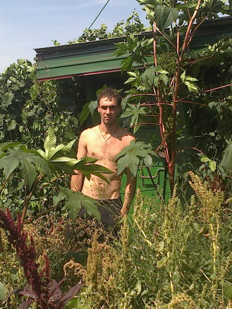 ���� 8290420 ������� ���������, 41 ���, ���� ���������� � ������