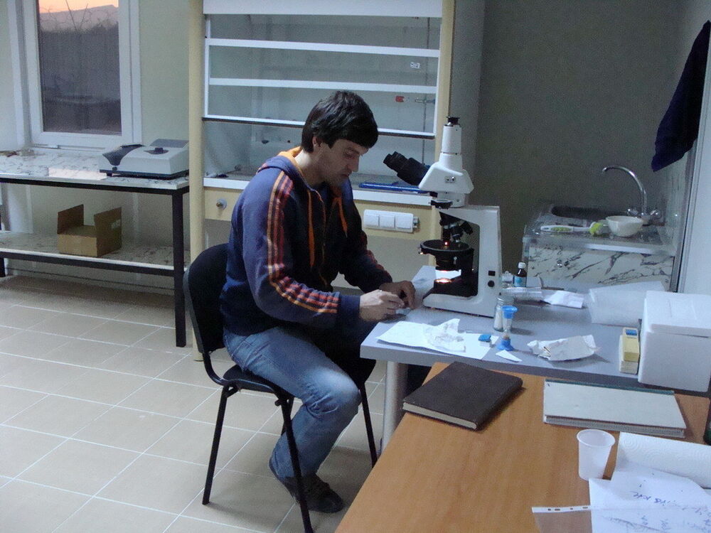 ���������� �����-���������, ���� ������� ���������, 41 ���, ������������ ��� ������, ����� � ���������, c�������� ���������