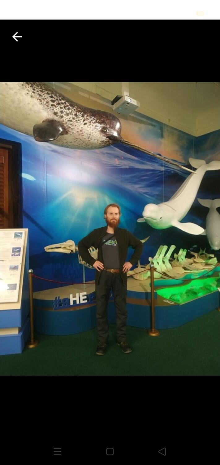 ���� 55306510 ������� ������, 39 ���, ���� ���������� � �����������