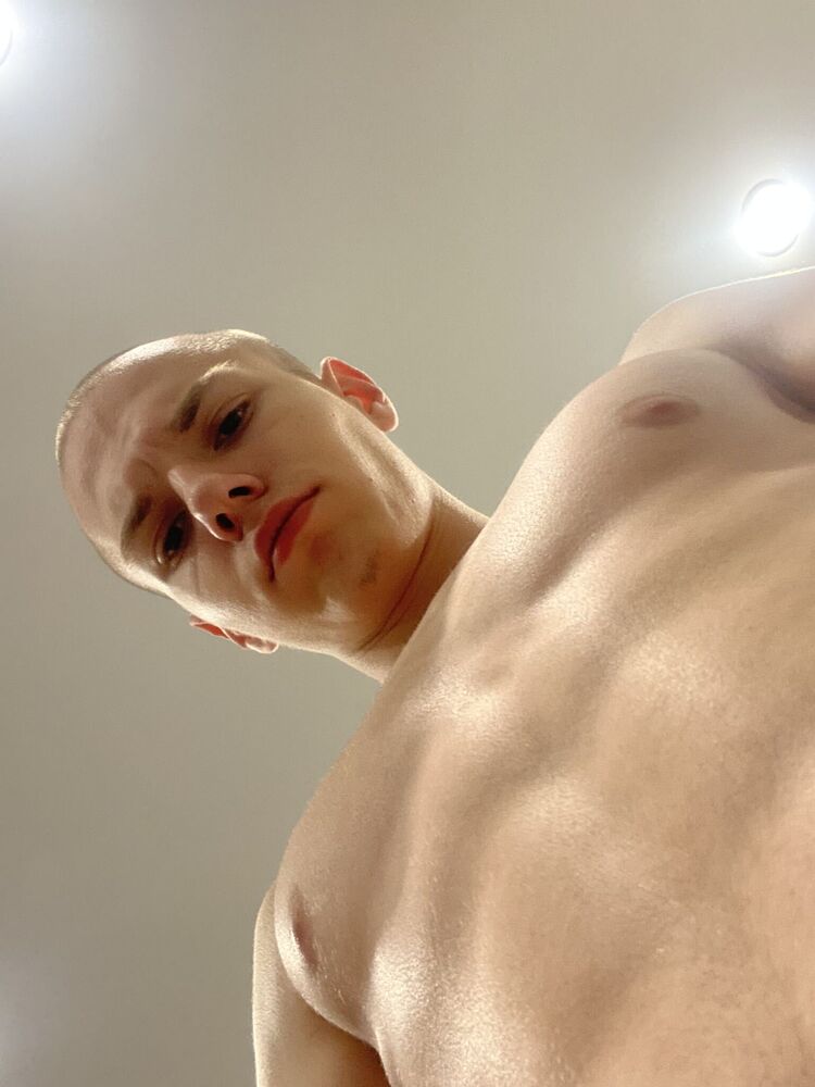 43231300  , 19 ,    