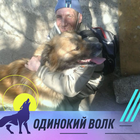 ���� 54936170 ������� ��������, 53 ����, ���� ���������� � ����������