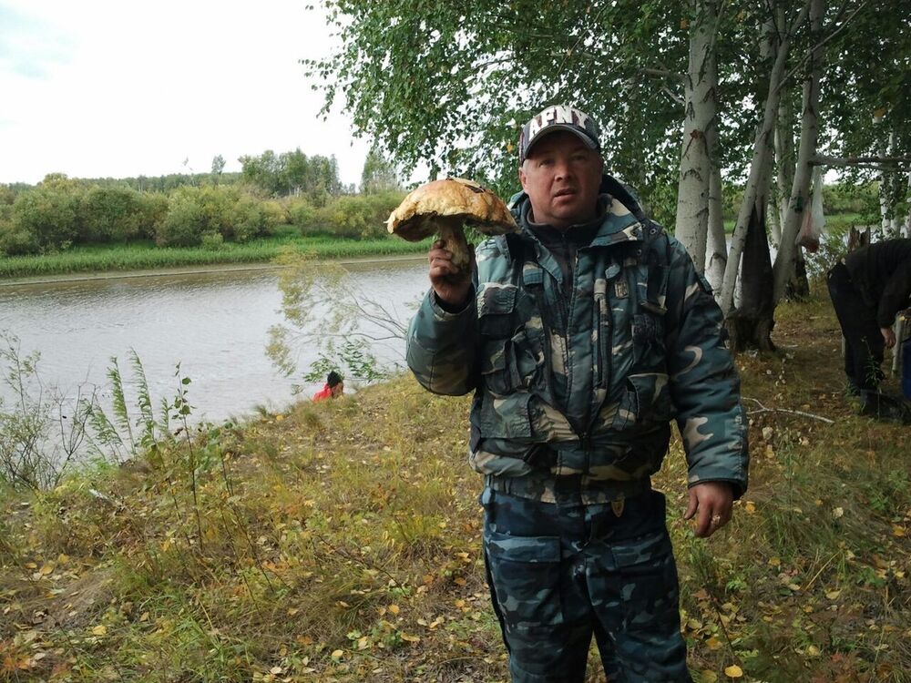  ,   , 58 ,   