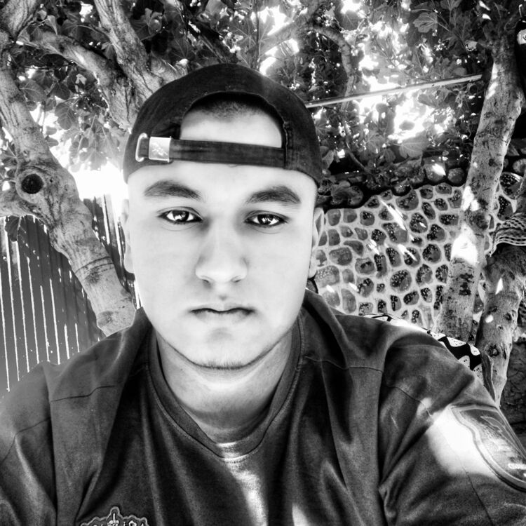  ,   Alisher, 24 ,   ,   , c , 