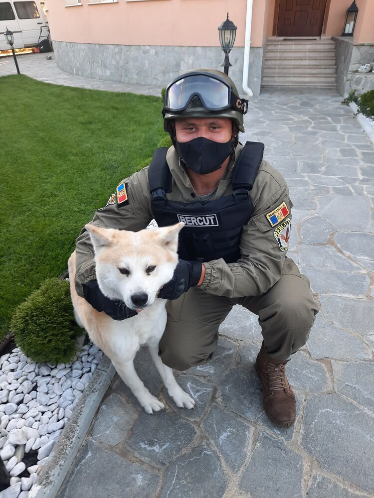 ���� 24480060 ������� Ion, 30 ���, ���� ���������� � ��������