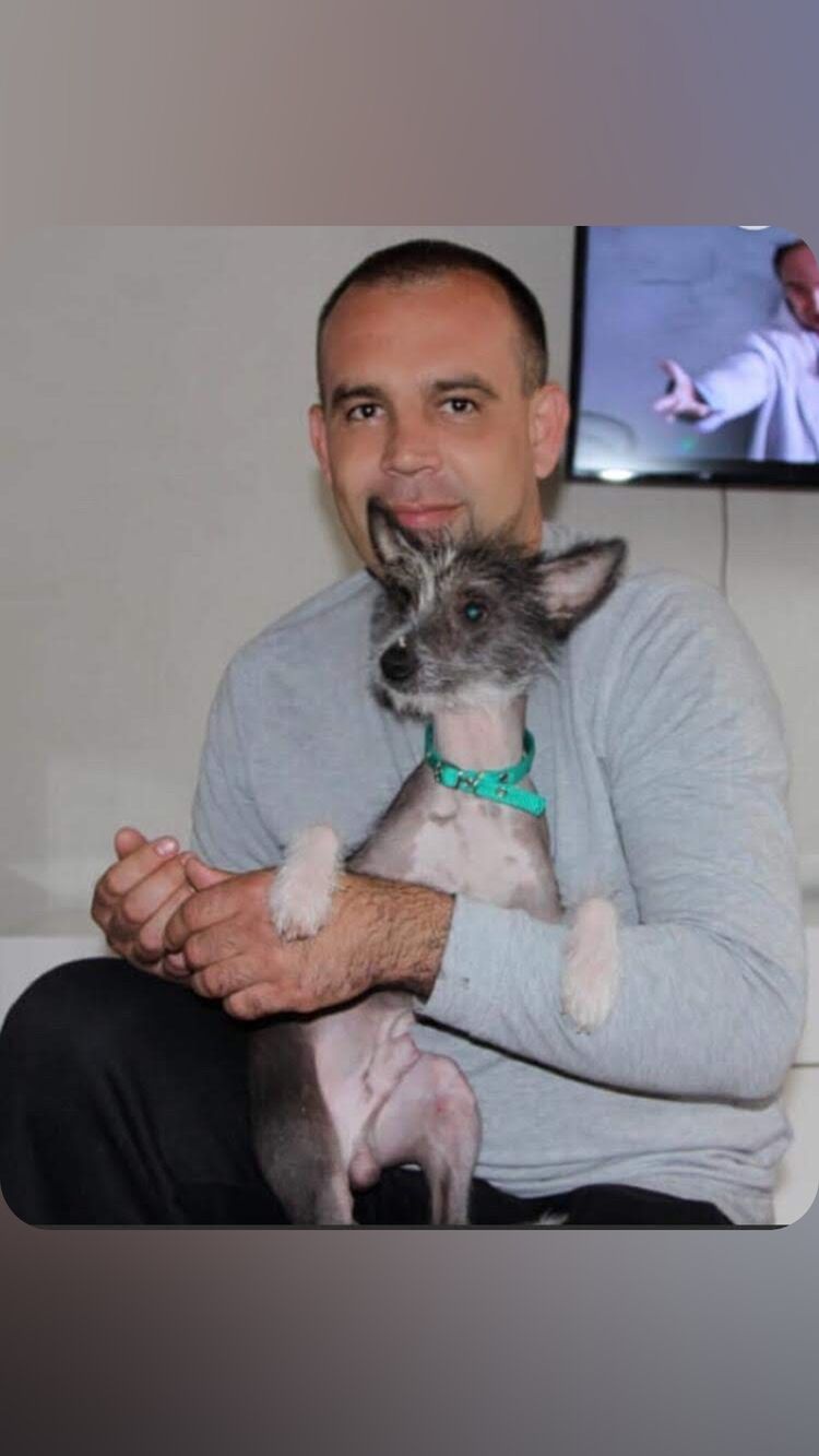 ���� 42570590 ������� ����, 42 ����, ���� ���������� � ������������