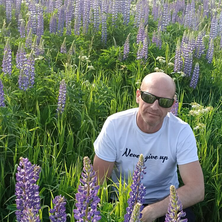 ���������� �����-���������, ���� ������� �������, 44 ����, ������������ ��� ������, ����� � ���������, c�������� ���������, ���������