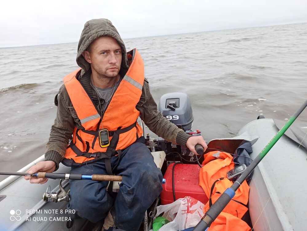 ���� 44106420 ������� ������, 36 ���, ���� ���������� � ������