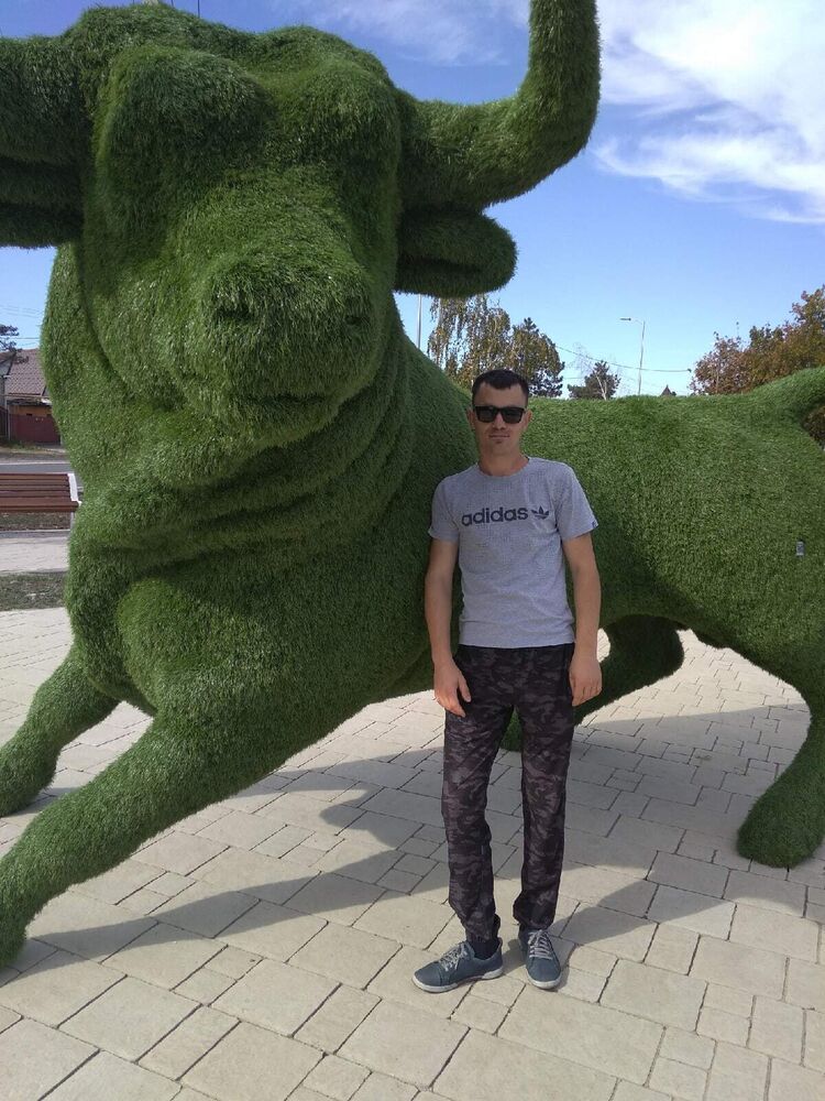 ���� 55595140 ������� ����, 34 ����, ���� ���������� � ��������