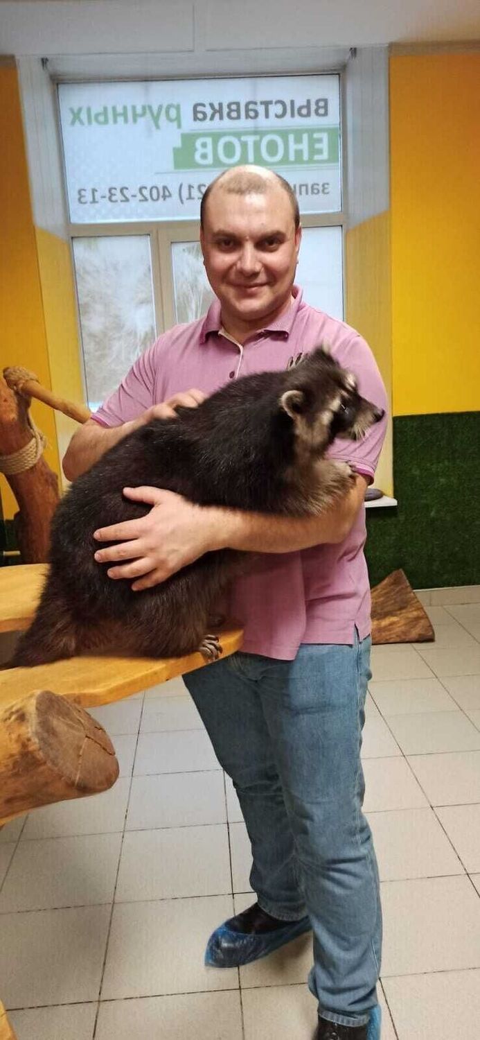 ���� 36210080 ������� Vahtang, 42 ����, ���� ���������� � �����-����������